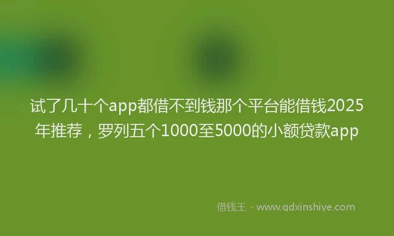 试了几十个app都借不到钱那个平台能借钱2025年推荐，罗列五个1000至5000的小额贷款app