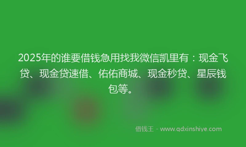 2025年的谁要借钱急用找我微信凯里有：现金飞贷、现金贷速借、佑佑商城、现金秒贷、星辰钱包等。