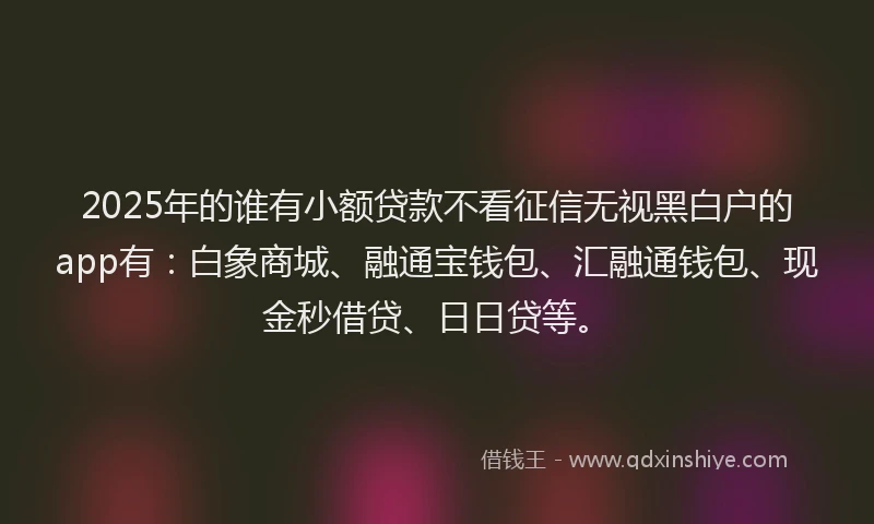2025年的谁有小额贷款不看征信无视黑白户的app有：白象商城、融通宝钱包、汇融通钱包、现金秒借贷、日日贷等。