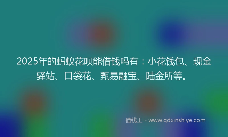 2025年的蚂蚁花呗能借钱吗有：小花钱包、现金驿站、口袋花、甄易融宝、陆金所等。