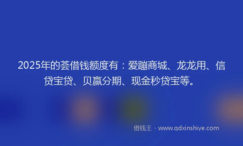 2025年的荟借钱额度有：爱蹦商城、龙龙用、信贷宝贷、贝赢分期、现金秒贷宝等。