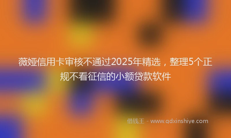 薇娅信用卡审核不通过2025年精选，整理5个正规不看征信的小额贷款软件