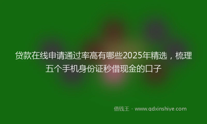 贷款在线申请通过率高有哪些2025年精选，梳理五个手机身份证秒借现金的口子