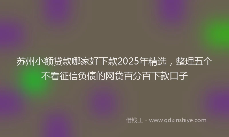 苏州小额贷款哪家好下款2025年精选，整理五个不看征信负债的网贷百分百下款口子