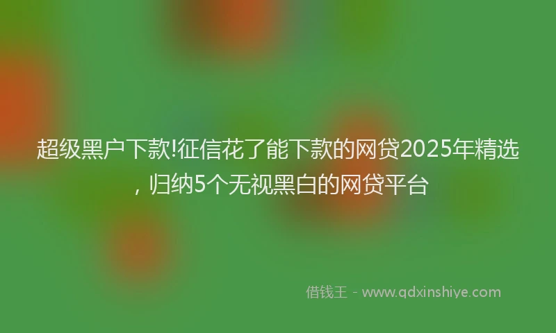 超级黑户下款!征信花了能下款的网贷2025年精选，归纳5个无视黑白的网贷平台