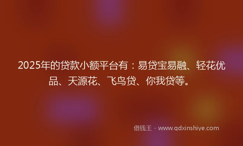2025年的贷款小额平台有：易贷宝易融、轻花优品、天源花、飞鸟贷、你我贷等。