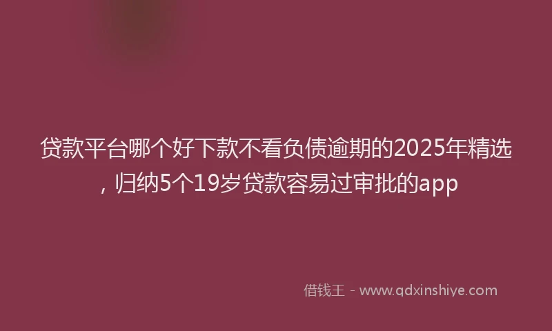 贷款平台哪个好下款不看负债逾期的2025年精选，归纳5个19岁贷款容易过审批的app