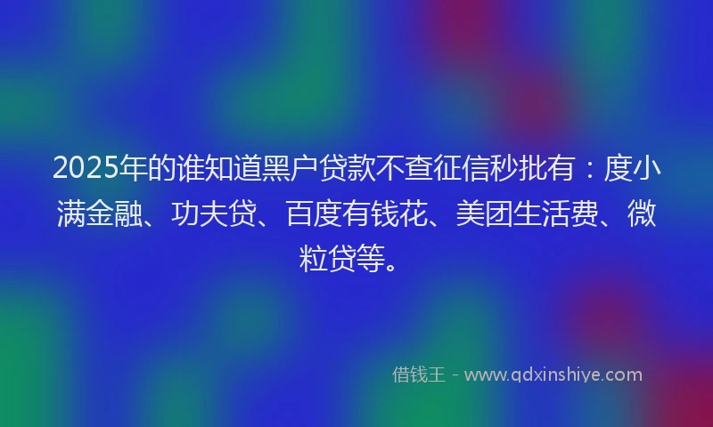 2025年的谁知道黑户贷款不查征信秒批有：度小满金融、功夫贷、百度有钱花、美团生活费、微粒贷等。