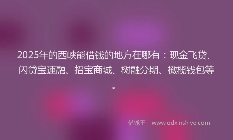 2025年的西峡能借钱的地方在哪有：现金飞贷、闪贷宝速融、招宝商城、树融分期、橄榄钱包等。