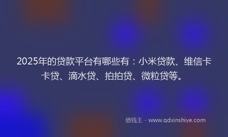 2025年的贷款平台有哪些有：小米贷款、维信卡卡贷、滴水贷、拍拍贷、微粒贷等。