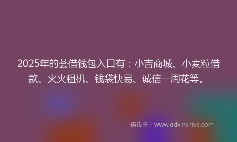 2025年的荟借钱包入口有：小吉商城、小麦粒借款、火火租机、钱袋快易、诚信一周花等。
