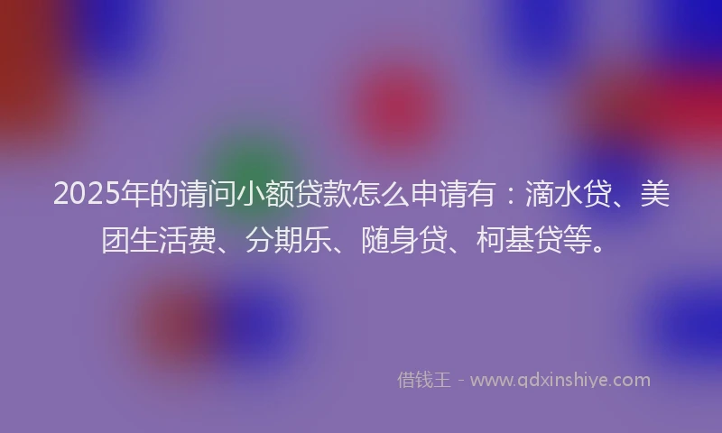 2025年的请问小额贷款怎么申请有：滴水贷、美团生活费、分期乐、随身贷、柯基贷等。