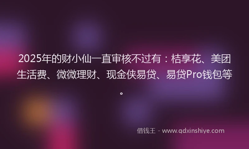 2025年的财小仙一直审核不过有：桔享花、美团生活费、微微理财、现金侠易贷、易贷Pro钱包等。