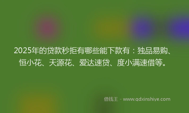2025年的贷款秒拒有哪些能下款有：独品易购、恒小花、天源花、爱达速贷、度小满速借等。