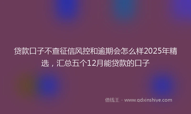 贷款口子不查征信风控和逾期会怎么样2025年精选，汇总五个12月能贷款的口子