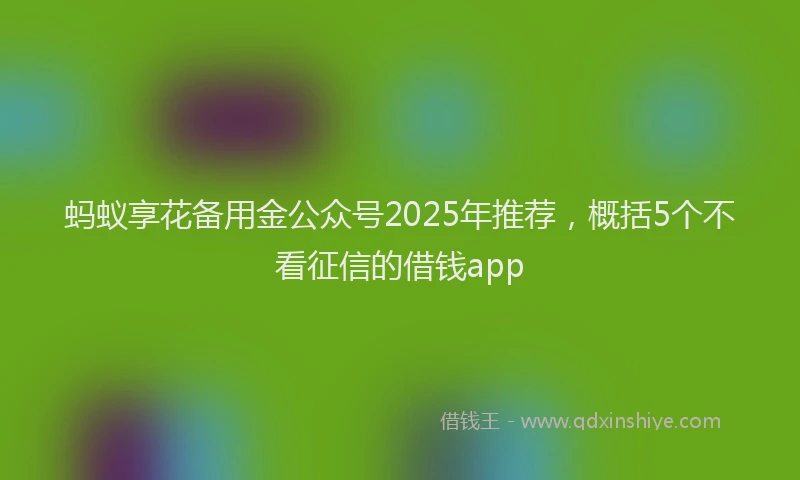 蚂蚁享花备用金公众号2025年推荐，概括5个不看征信的借钱app