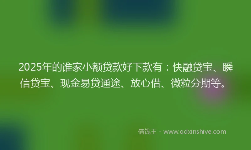 2025年的谁家小额贷款好下款有：快融贷宝、瞬信贷宝、现金易贷通途、放心借、微粒分期等。