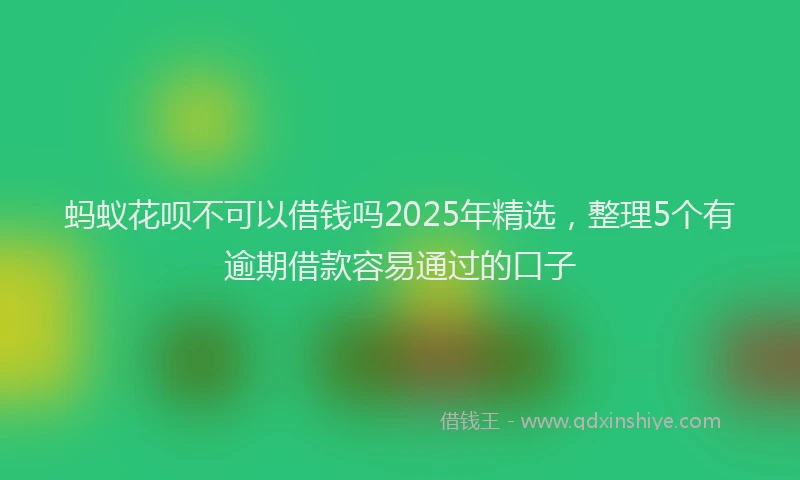 蚂蚁花呗不可以借钱吗2025年精选，整理5个有逾期借款容易通过的口子