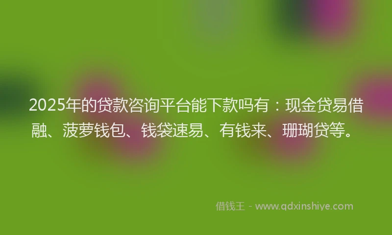 2025年的贷款咨询平台能下款吗有：现金贷易借融、菠萝钱包、钱袋速易、有钱来、珊瑚贷等。