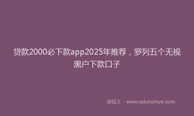 贷款2000必下款app2025年推荐，罗列五个无视黑户下款口子