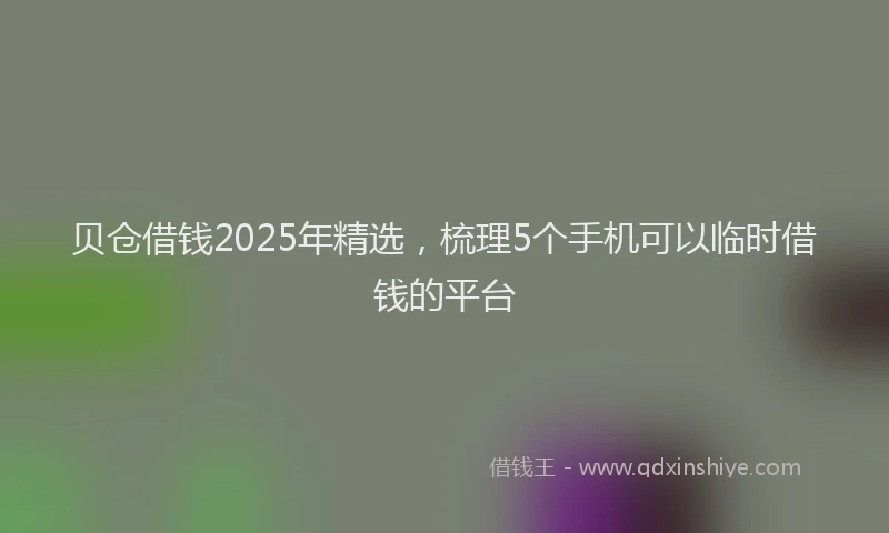 贝仓借钱2025年精选，梳理5个手机可以临时借钱的平台