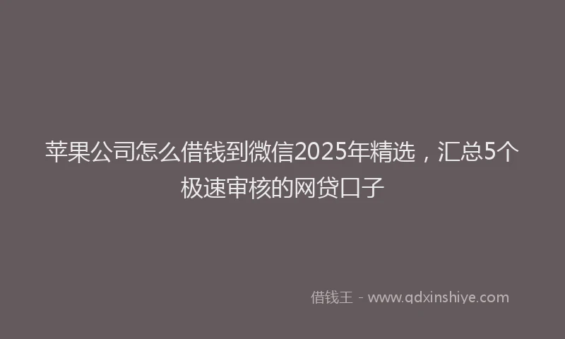 苹果公司怎么借钱到微信2025年精选，汇总5个极速审核的网贷口子