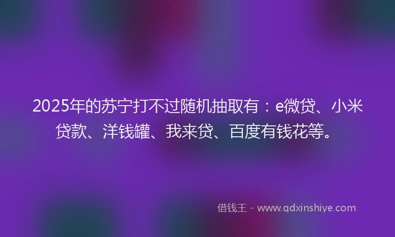 2025年的苏宁打不过随机抽取有：e微贷、小米贷款、洋钱罐、我来贷、百度有钱花等。