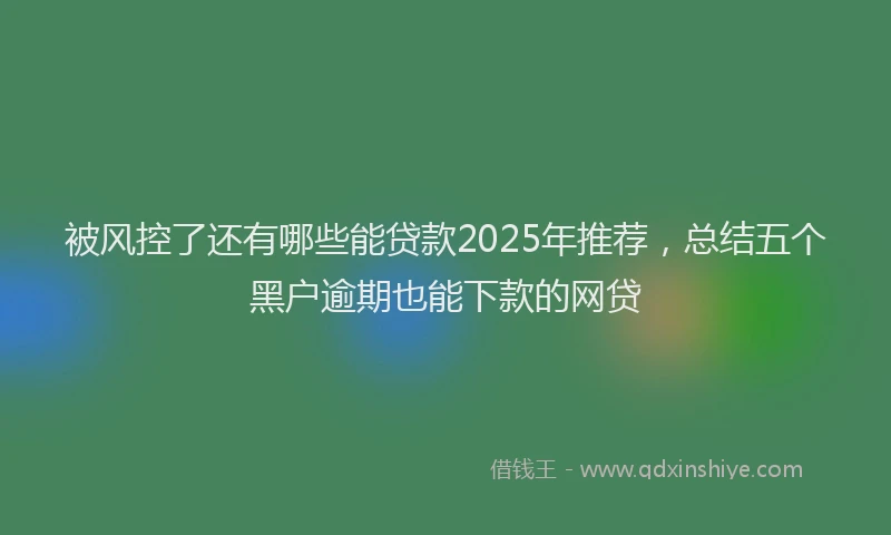 被风控了还有哪些能贷款2025年推荐，总结五个黑户逾期也能下款的网贷