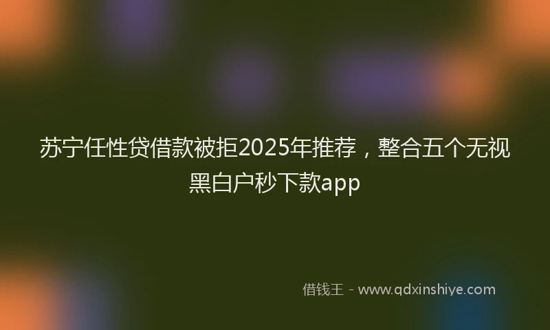 苏宁任性贷借款被拒2025年推荐，整合五个无视黑白户秒下款app