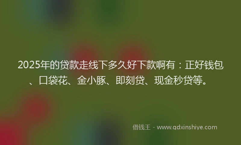 2025年的贷款走线下多久好下款啊有：正好钱包、口袋花、金小豚、即刻贷、现金秒贷等。