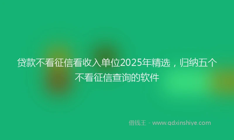 贷款不看征信看收入单位2025年精选，归纳五个不看征信查询的软件