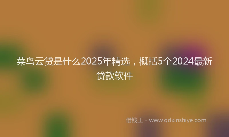 菜鸟云贷是什么2025年精选，概括5个2024最新贷款软件