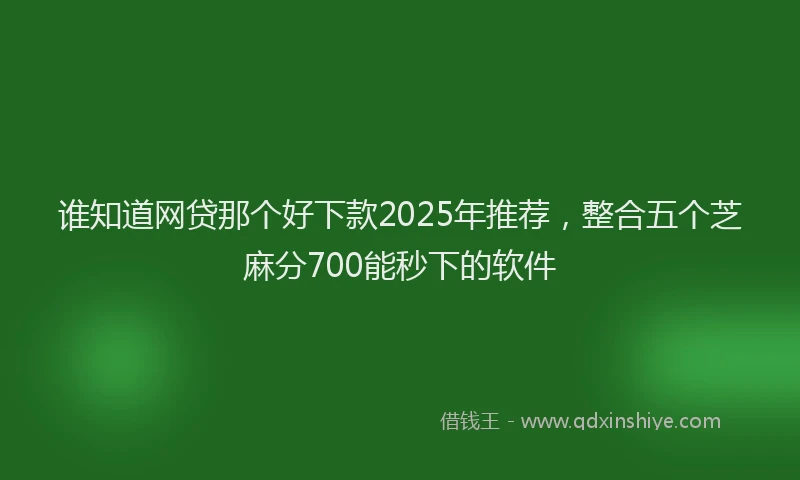 谁知道网贷那个好下款2025年推荐，整合五个芝麻分700能秒下的软件