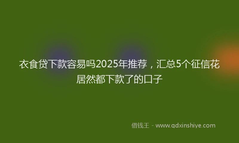 衣食贷下款容易吗2025年推荐，汇总5个征信花居然都下款了的口子