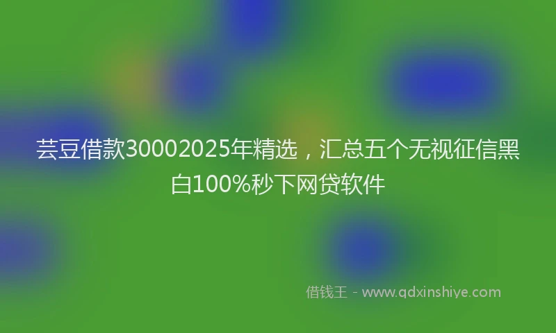 芸豆借款30002025年精选，汇总五个无视征信黑白100%秒下网贷软件