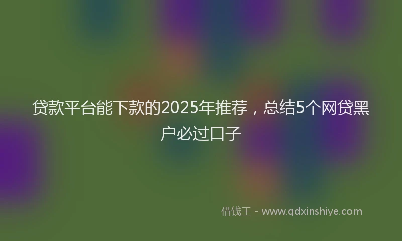 贷款平台能下款的2025年推荐，总结5个网贷黑户必过口子