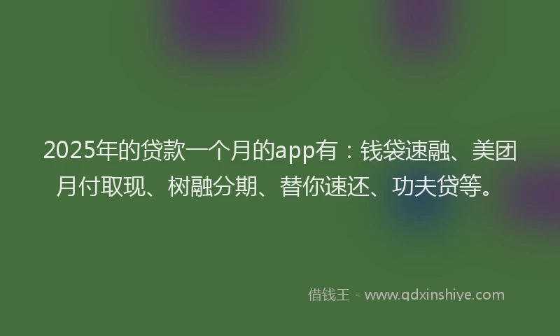 2025年的贷款一个月的app有：钱袋速融、美团月付取现、树融分期、替你速还、功夫贷等。