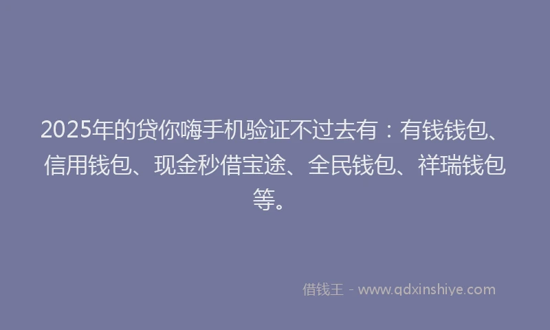 2025年的贷你嗨手机验证不过去有：有钱钱包、信用钱包、现金秒借宝途、全民钱包、祥瑞钱包等。