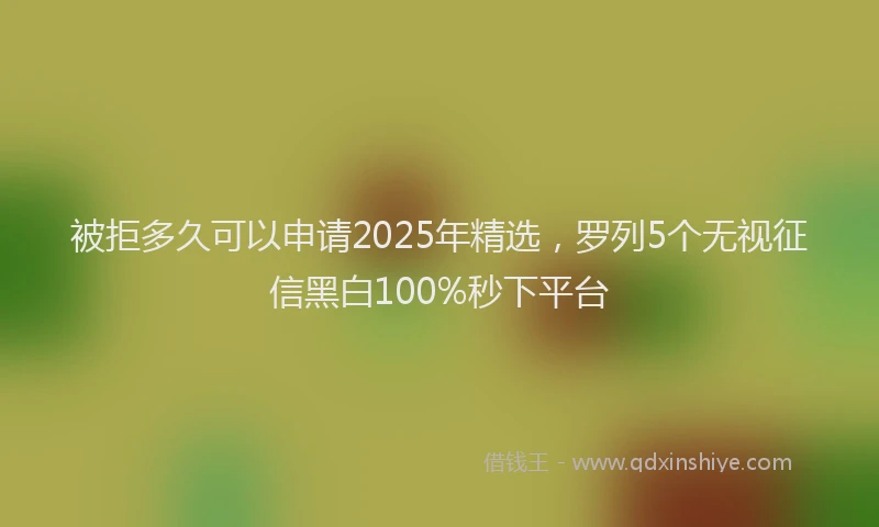 被拒多久可以申请2025年精选，罗列5个无视征信黑白100%秒下平台
