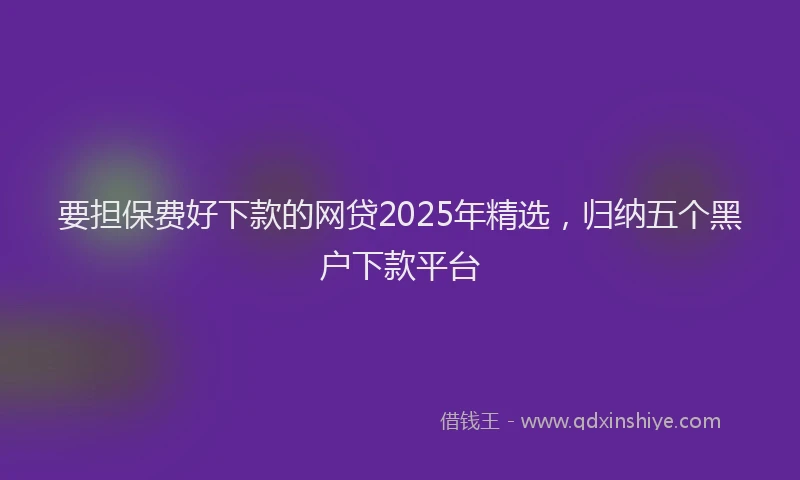 要担保费好下款的网贷2025年精选，归纳五个黑户下款平台