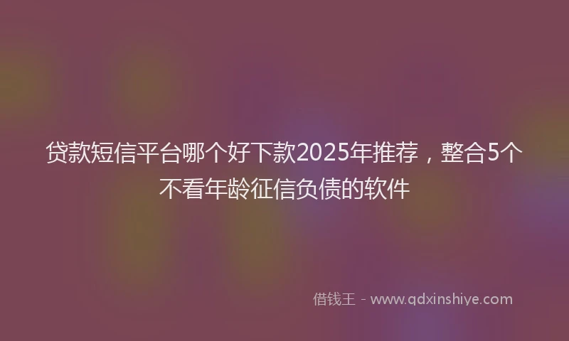贷款短信平台哪个好下款2025年推荐，整合5个不看年龄征信负债的软件