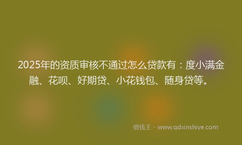 2025年的资质审核不通过怎么贷款有：度小满金融、花呗、好期贷、小花钱包、随身贷等。
