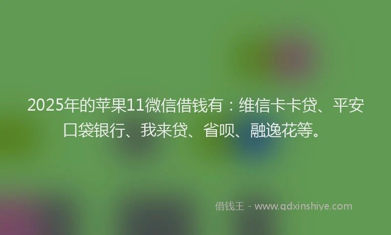 2025年的苹果11微信借钱有：维信卡卡贷、平安口袋银行、我来贷、省呗、融逸花等。