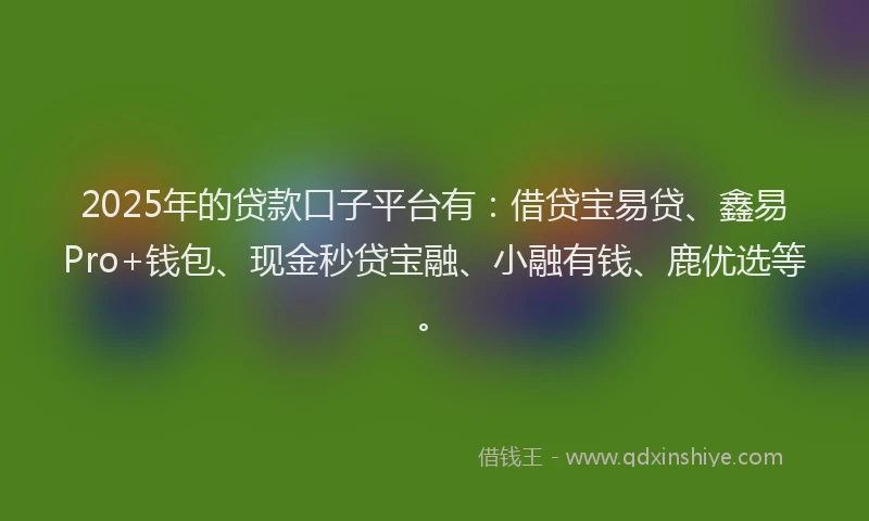 2025年的贷款口子平台有：借贷宝易贷、鑫易Pro+钱包、现金秒贷宝融、小融有钱、鹿优选等。