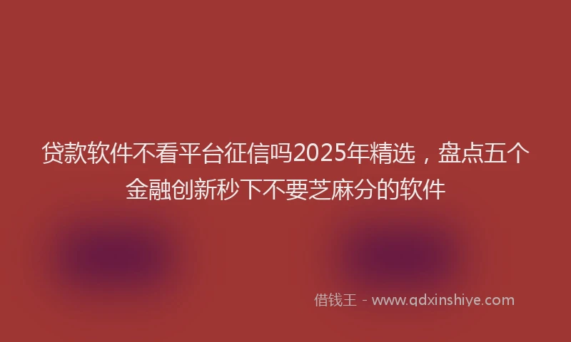 贷款软件不看平台征信吗2025年精选，盘点五个金融创新秒下不要芝麻分的软件