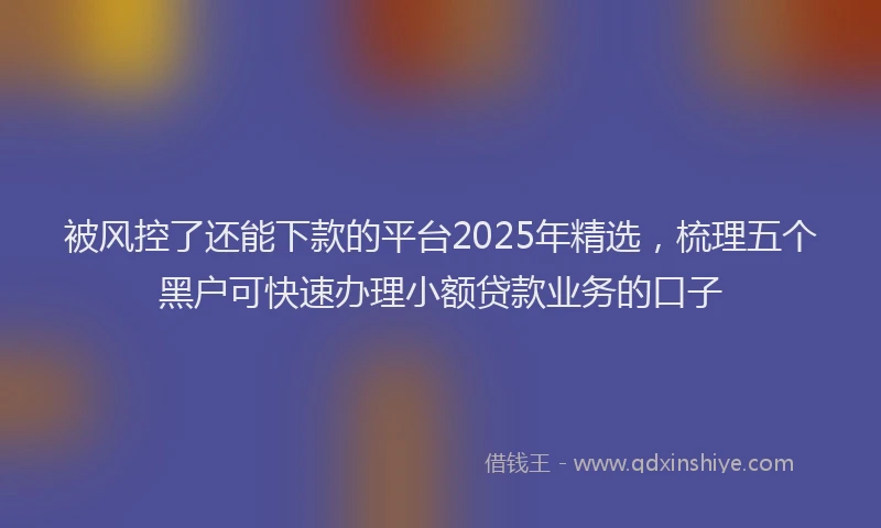 被风控了还能下款的平台2025年精选，梳理五个黑户可快速办理小额贷款业务的口子