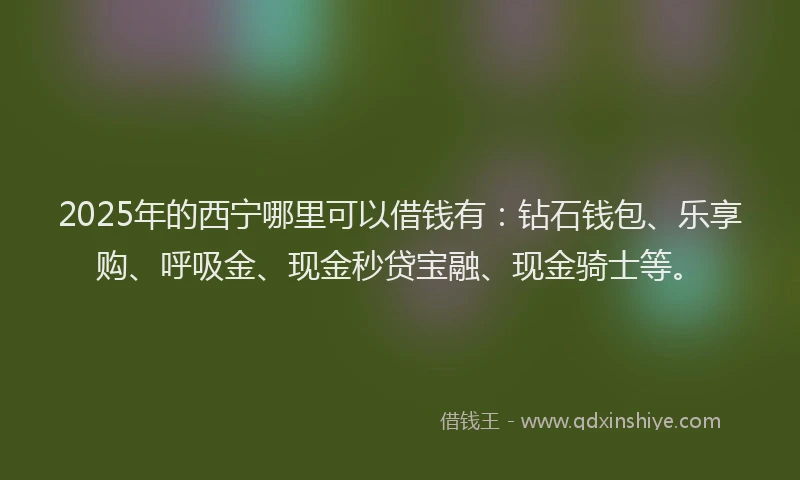 2025年的西宁哪里可以借钱有：钻石钱包、乐享购、呼吸金、现金秒贷宝融、现金骑士等。
