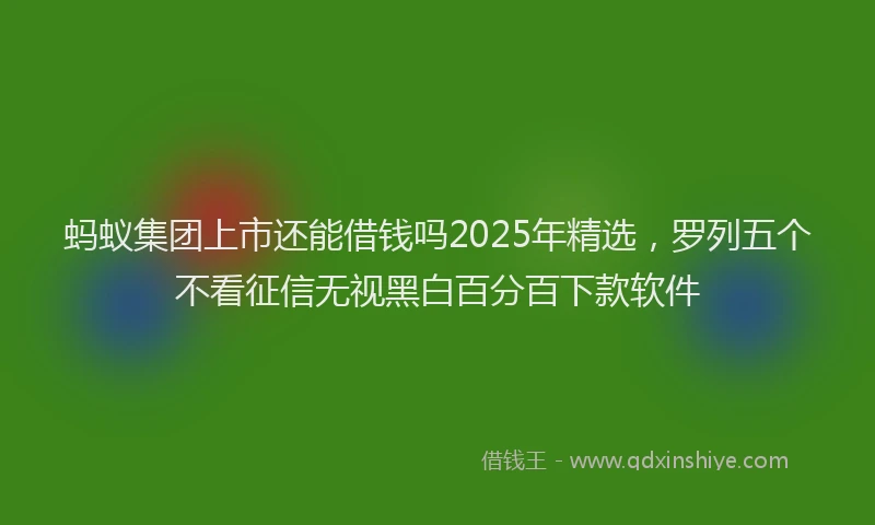 蚂蚁集团上市还能借钱吗2025年精选，罗列五个不看征信无视黑白百分百下款软件
