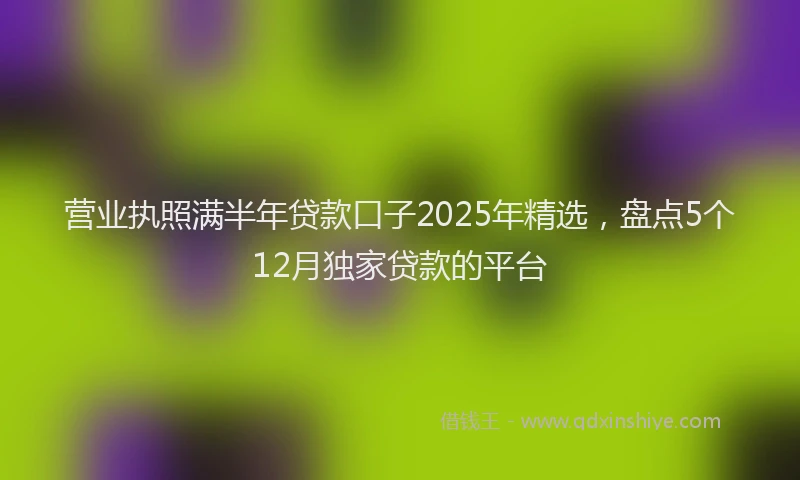 营业执照满半年贷款口子2025年精选，盘点5个12月独家贷款的平台