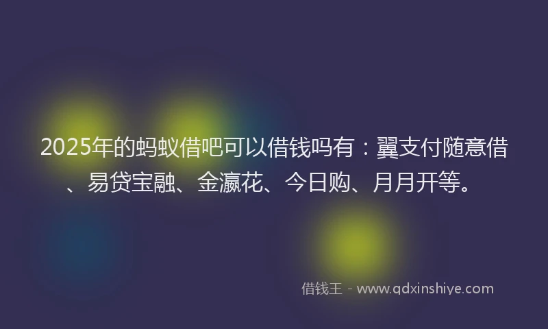 2025年的蚂蚁借吧可以借钱吗有：翼支付随意借、易贷宝融、金瀛花、今日购、月月开等。